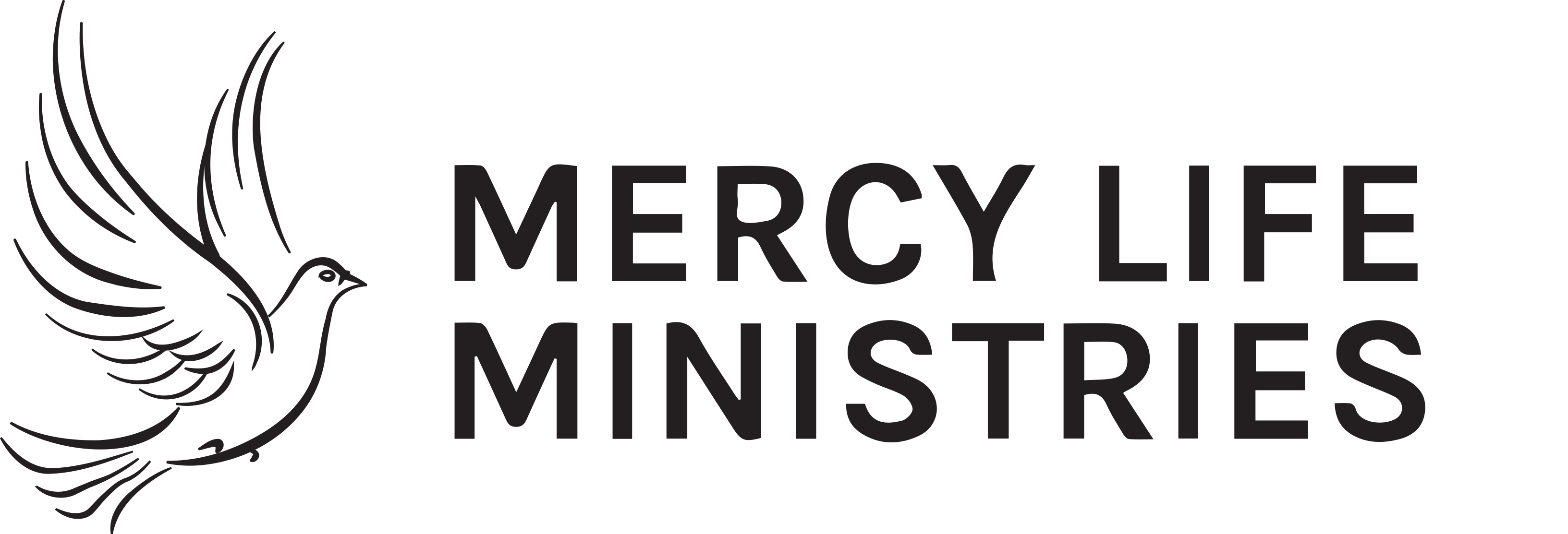 Mercy Life Ministry Dove